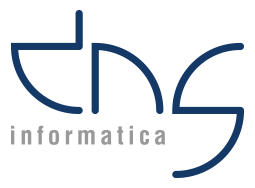DNS logo